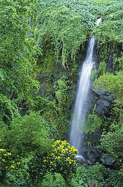 Waterfall, Anse des Cascades, Ste-Rose, Reunion island, Overseas departement of France, Indian Ocean
