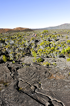 Hikers inside the caldera named Enclos Fouque.Piton de la Fournaise.Reunion island,overseas departement of France,Indian Ocean