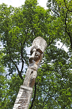 'Les Atlantes' sculpture on trunk (Douglas tree) by Antoine Halbwachs & Christophe Vehruny in the Forest of Troncais (Forêt de Tronçais), Allier department, Auvergne-Rhone-Alpes region, France, Europe