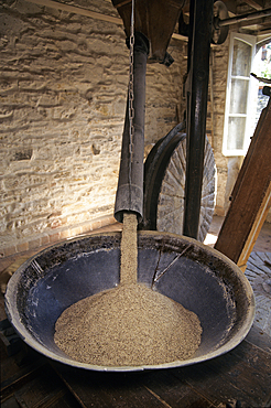 Crushing of buckwheat grains in a traditional mill, Moulin de la Fatigue,Vitre,Ille-et-Vilaine department,Brittany region,France,northwest Europe