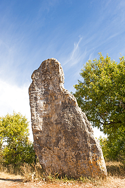 Menhir of Belinac, around Livernon, Regional Park of Causses du Quercy, Lot department, region of Midi-Pyrenees, Occitanie, southwest of France, Europe