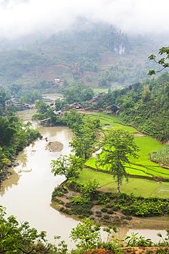 Hamlet among paddy-fields on the Nho Que river bank, around Bao Lac, Cao Bang province, Northern Vietnam, Southeast Asia