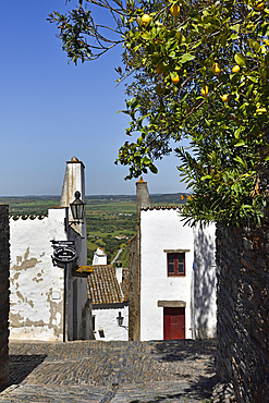 Alley in the perched village Monsaraz, Municipality of Reguengos de Monsaraz, Alentejo region, Portugal, southwertern Europe
