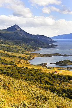 Wulaia Bay, Navarino island, Tierra del Fuego, Patagonia, Chile, South America