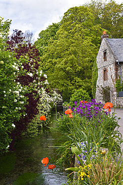 The Veules River bank, the smallest river in France, 1149 m, Veules-les-Roses, Seine-Maritime department, Normandy region, France