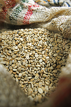 Sack of coffee beans, region of Armenia, department of Quindio, Cordillera Central of the Andes mountain range, Colombia, South America