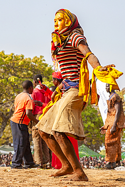 Masked dancer, The Kulamba Traditional Ceremony of the Chewa people from Zambia, Mozambique and Malawi, held annually on the last Saturday in August to pay homage to their Chief Kalonga Gaia Uni, held near Katete, Eastern Province, Zambia, Africa