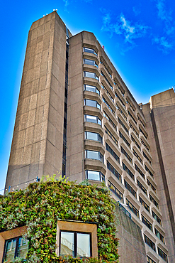 Low-angle view of a tall, concrete building with numerous windows, exhibiting a repetitive modular design. A section of the building's base is covered with a lush green vertical garden. The sky is a vibrant blue in Manchester, UK.