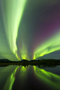 Aurora borealis over Fish lake, Whitehorse, Yukon, Canada.