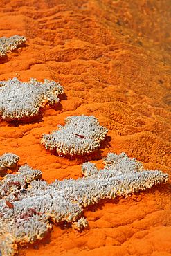 November 2007 - Orange coloration in Champagne Pool hot spring, Wai-O-Tapu Geothermal area, Taupo Volcanic Zone, New Zealand.