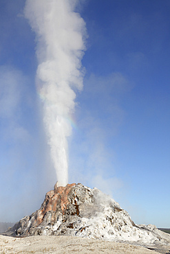September 11, 2009 - White Dome Geyser erupting, Lower Geyser Basin geothermal area, Yellowstone Caldera, Yellowstone National Park, Wyoming.