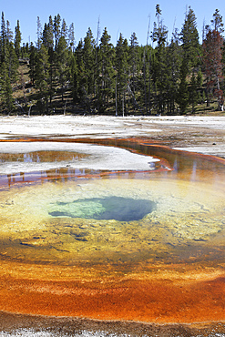 September 12, 2009 - Chromatic Pool Hot Spring, Upper Geyser Basin geothermal area, Yellowstone Caldera, Yellowstone National Park, Wyoming.