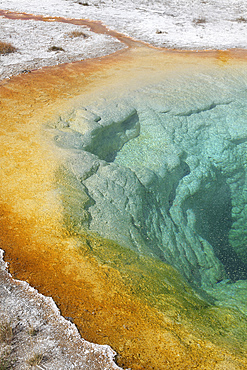 September 12, 2009 - Morning Glory Pool Hot Spring, Upper Geyser Basin geothermal area, Yellowstone Caldera, Yellowstone National Park, Wyoming.