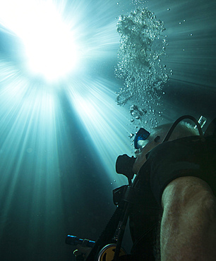 A scuba diver surfacing and looking up into the light as he ascends from the bottom of Devil's Den, a sinkhole in Williston, Florda.