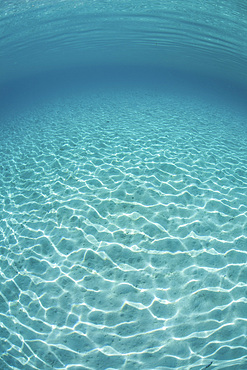 Sunlight dances across a shallow, sandy slope off the island of Guadalcanal in the Solomon Islands.