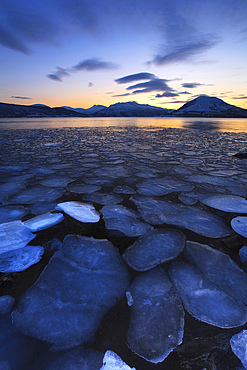 A rare sight in Tjeldsundet, Troms County, Norway. Ice flakes drifting in the sunset looking towards the mountains on Tjeldoya Island.