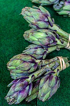 Artichokes