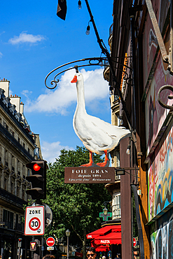 Goose sign, Paris, France