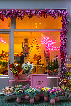 Pink flower shop Luv Box on Rue Bachaument at Christmas, Paris, France