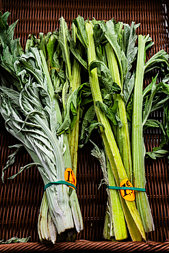 Cardoon, Paris, France