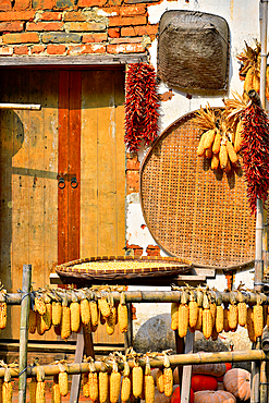 Corn and chillies being sun dried in autumn in Huangling, Wuyuan County, Shangrao City, Jiangxi Province, China. Huangling is an ancient village that dates back to the Ming Dynasty more than 500 years ago and is known for its natural beauty.