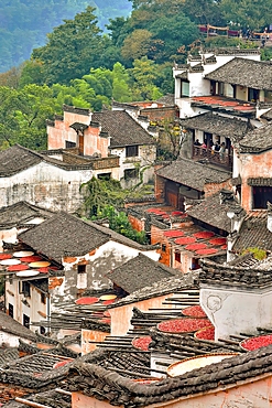 Huangling ancient village in autumn when chillies, grains and other farm produce is sun dried. Wuyuan County, Shangrao City, Jiangxi Province, China. The village dates back to the Ming Dynasty more than 500 years ago and is known for its natural beauty.