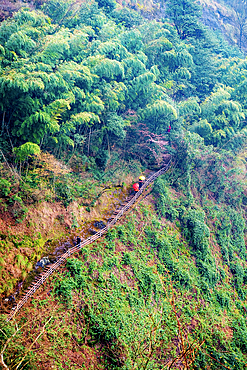 Mount Jianglang, Jiangshan City, Zhejiang Province, China.