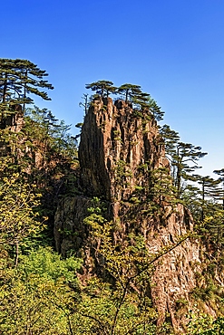 Huangshan (Mt Huang), UNESCO World Heritage and UNESCO Global Geopark, Anhui Province, China.