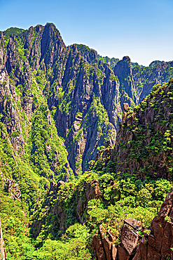 Huangshan (Mt Huang), UNESCO World Heritage and UNESCO Global Geopark, Anhui Province, China.