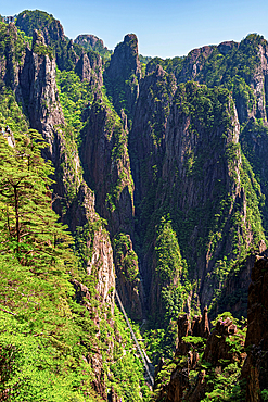 Huangshan (Mt Huang), UNESCO World Heritage and UNESCO Global Geopark, Anhui Province, China.