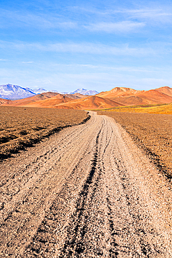 Remote dirt road in the red earth landscape, Puna, Argentina