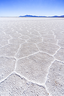 Geometric cracked salt flats, Salinas Grandes, Jujuy, Argentina