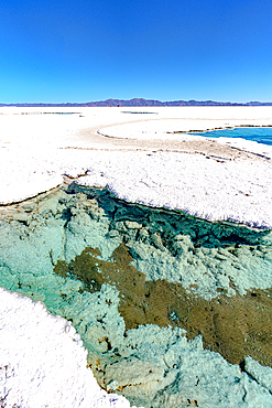 Turquoise ponds with salt crystals, Salinas Grandes, Jujuy, Argentina