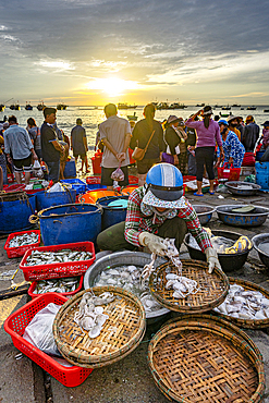 Crowded fish market on Tam Tien coastline, Quang Nam Province, Central Vietnam