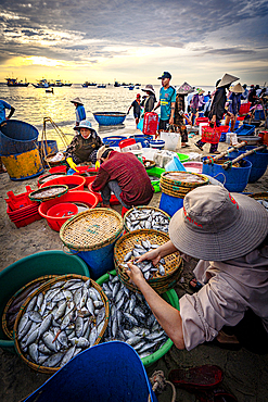 Crowded fish market on Tam Tien coastline, Quang Nam Province, Central Vietnam