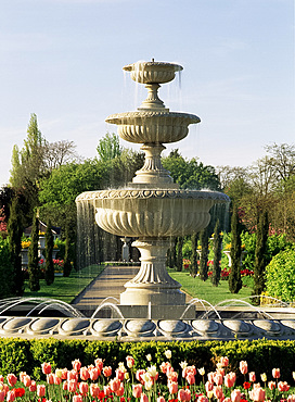 Regents Park, London, England, United Kingdom, Europe