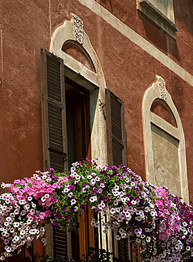 Petunias outside a window, Morcote, Lake Lugano, Ticino, Switzerland, Europe