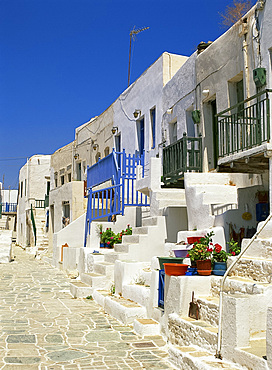 White houses with steps, balconies and flower pots line a street in The Kastro on Folegandros, Cyclades, Greek Islands, Greece, Europe