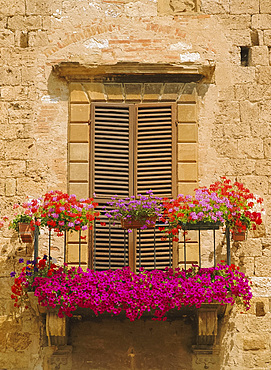 Flower covered balcony, Colle di Val d'Elsa, Tuscany, Italy