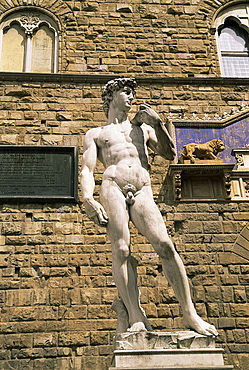 David statue, Piazza della Signoria, Florence, Tuscany, Italy, Europe