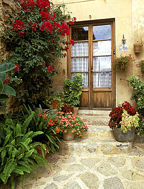 Bougainvillea and other tropical plants in pots outside
a doorway in the old town of Valldemosa
Mallorca, Spain *** Local Caption ***