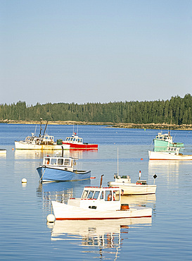 Lobster boats in Stonington Harbour, Deer Isle, Maine, New England, United States of America, North America