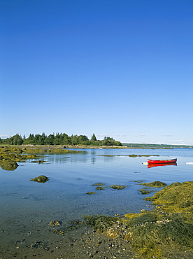 Coastal sceney on Deer Isle, Maine, New England, United States of America, North America