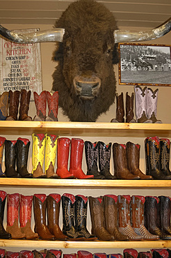 Display of ornate cowboy boots and buffalo head in a shop in Aspen, Colorado, USA, North America