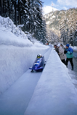 Sled coming down the bobsleigh run, St. Moritz, Switzerland, Europe