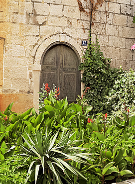 Old door and exotic garden, Korcula, Dalmatia, Croatia, Europe