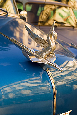 A hood ornament (mascot) on the bonnet of a vintage American Chevrolet, Havana, Cuba, West Indies, Central America