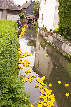 The traditional rubber duck race along a stream in Cormeilles, Normandy, France, Europe