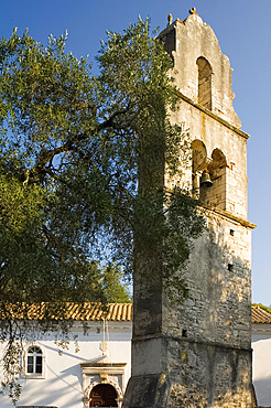 The stone belltower of Agios Constantinos in an olive tree grove, Paxos, Ionian Islands, Greek Islands, Greece, Europe