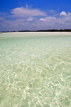 The shallow sea at low tide near Paje Beach on the edge of the Indian Ocean, Zanzibar, Tanzania, East Africa, Africa